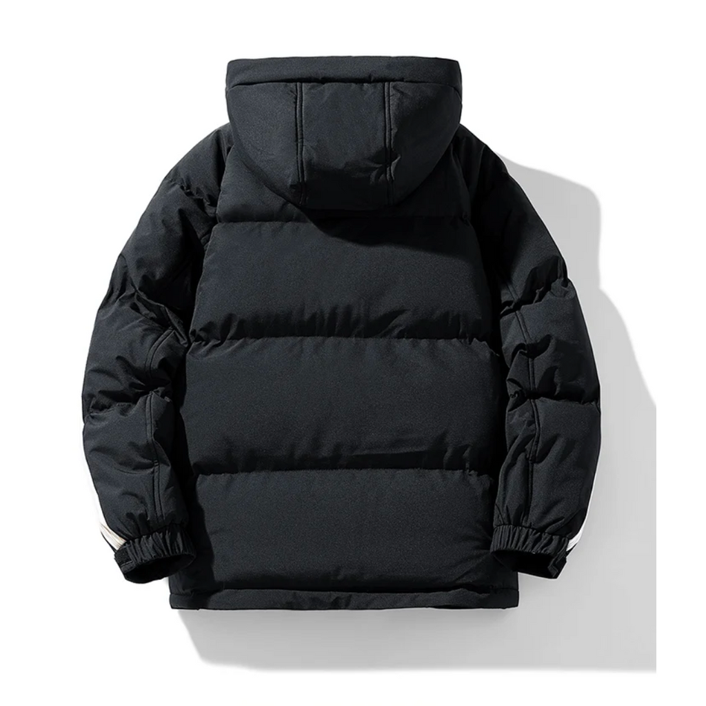 Chaqueta puffer hombre impermeable cortaviento plumón cuello alto capucha bolsillos forro polar - Milian