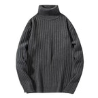 Suéter de cuello alto para hombre tejido acanalado - Darel