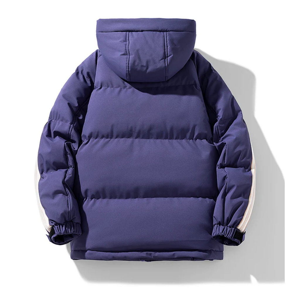 Chaqueta puffer hombre impermeable cortaviento plumón cuello alto capucha bolsillos forro polar - Milian