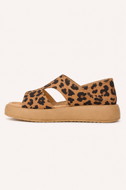 Leopardo